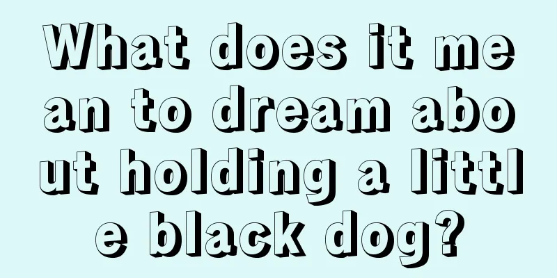 What does it mean to dream about holding a little black dog?