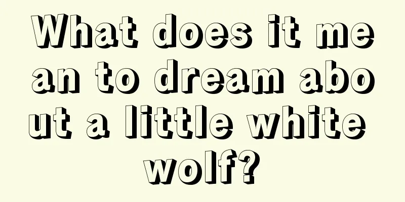 What does it mean to dream about a little white wolf?