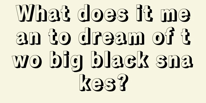 What does it mean to dream of two big black snakes?