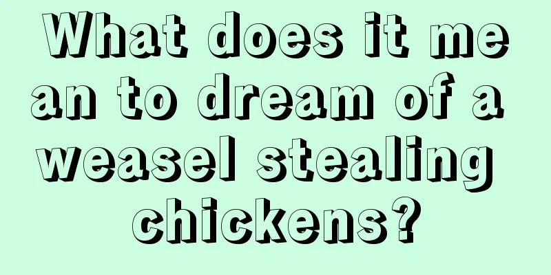 What does it mean to dream of a weasel stealing chickens?