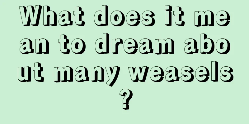 What does it mean to dream about many weasels?