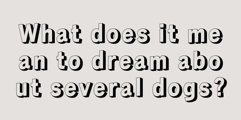 What does it mean to dream about several dogs?