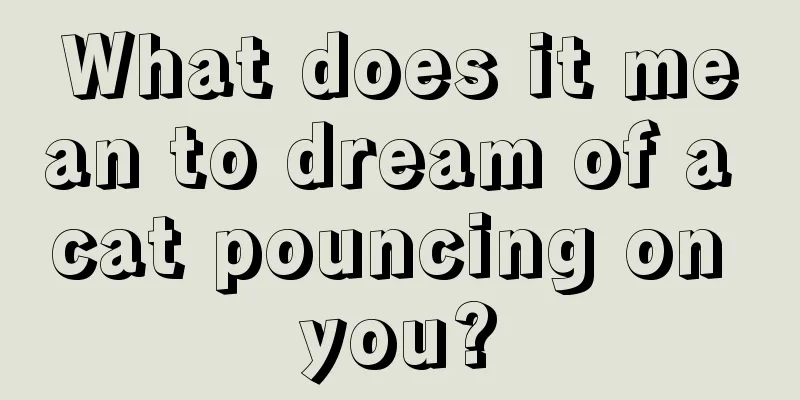 What does it mean to dream of a cat pouncing on you?