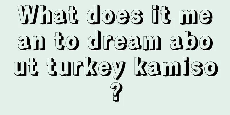 What does it mean to dream about turkey kamiso?