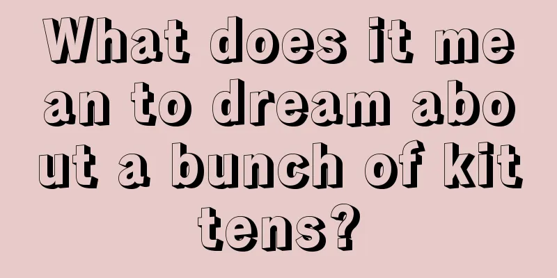 What does it mean to dream about a bunch of kittens?