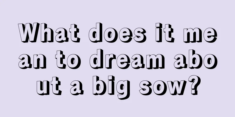 What does it mean to dream about a big sow?