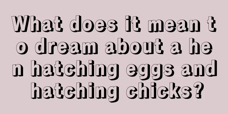 What does it mean to dream about a hen hatching eggs and hatching chicks?