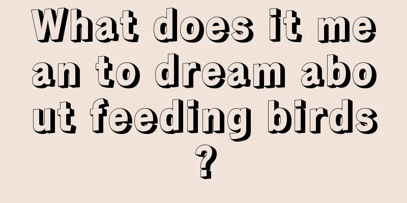 What does it mean to dream about feeding birds?