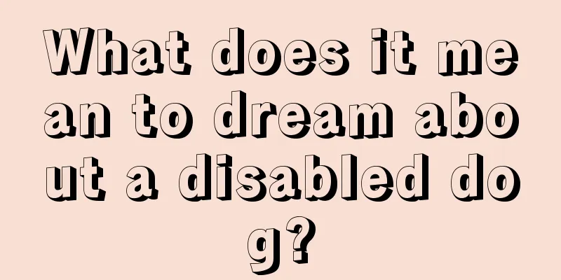 What does it mean to dream about a disabled dog?