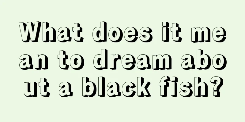 What does it mean to dream about a black fish?