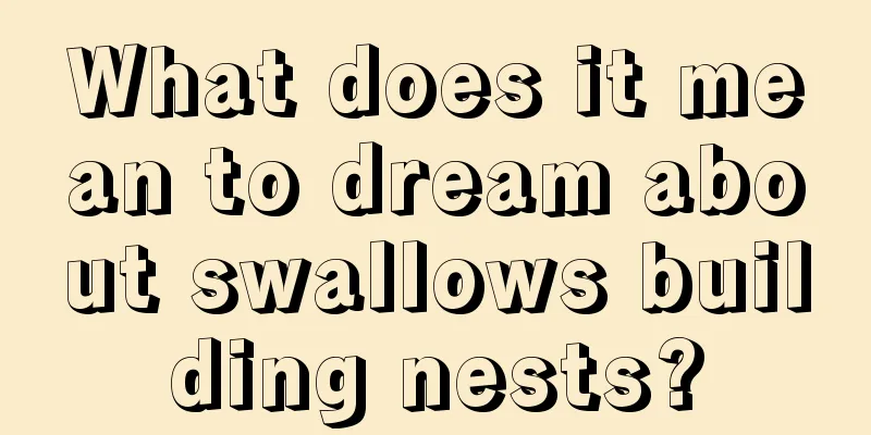 What does it mean to dream about swallows building nests?