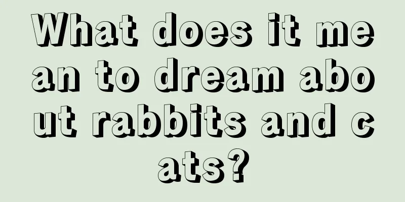 What does it mean to dream about rabbits and cats?