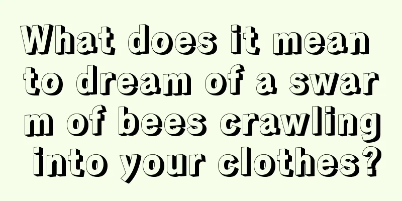 What does it mean to dream of a swarm of bees crawling into your clothes?