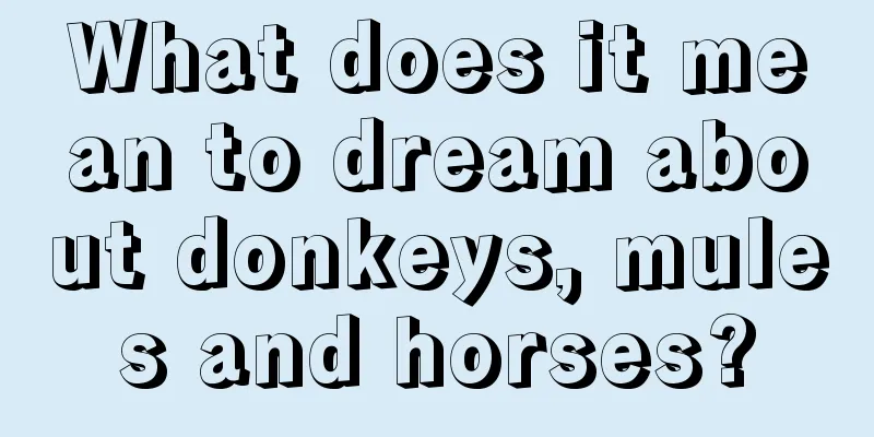 What does it mean to dream about donkeys, mules and horses?