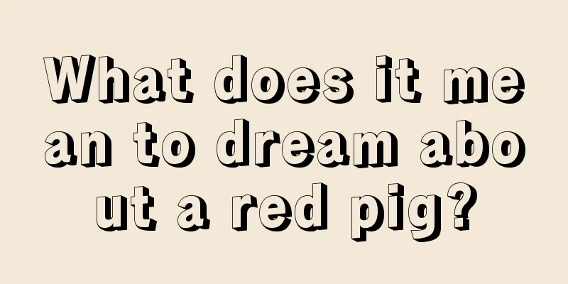 What does it mean to dream about a red pig?