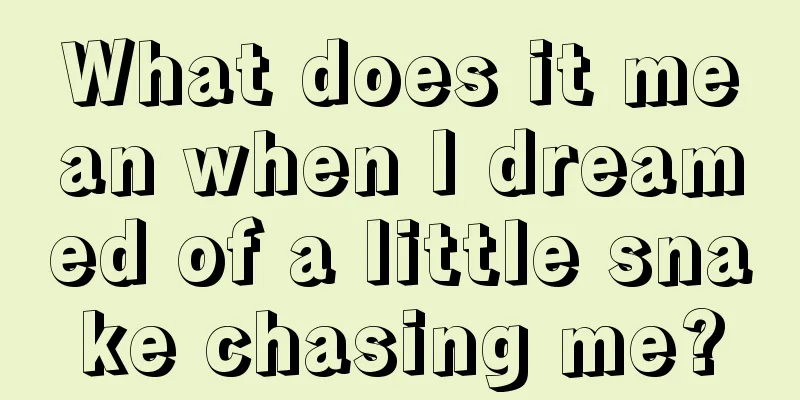 What does it mean when I dreamed of a little snake chasing me?