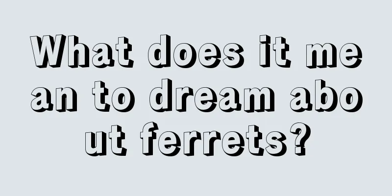 What does it mean to dream about ferrets?