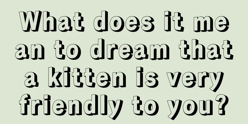 What does it mean to dream that a kitten is very friendly to you?