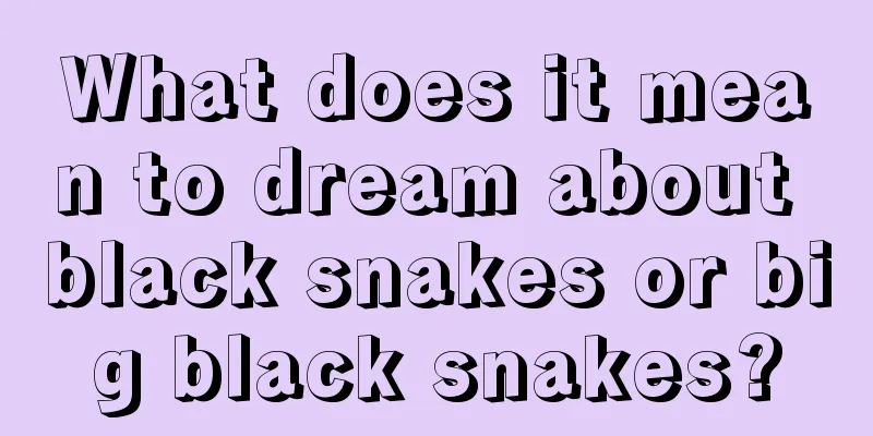 What does it mean to dream about black snakes or big black snakes?