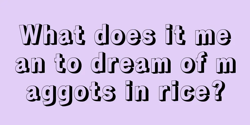 What does it mean to dream of maggots in rice?