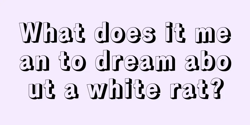 What does it mean to dream about a white rat?