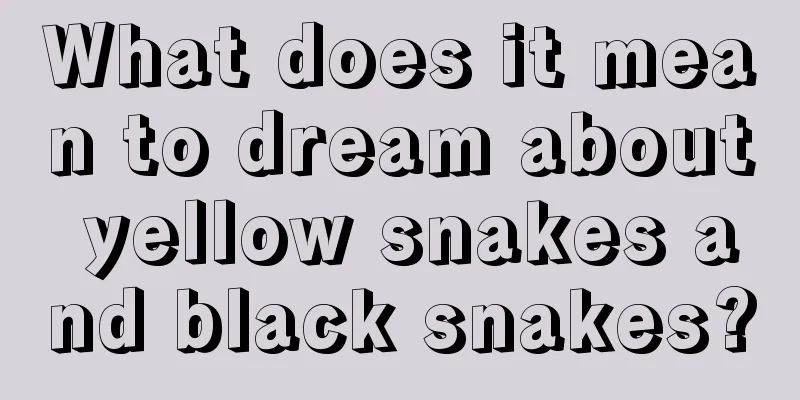 What does it mean to dream about yellow snakes and black snakes?