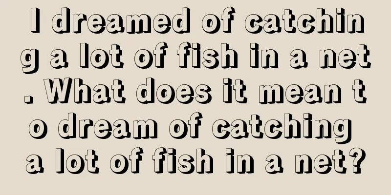 I dreamed of catching a lot of fish in a net. What does it mean to dream of catching a lot of fish in a net?