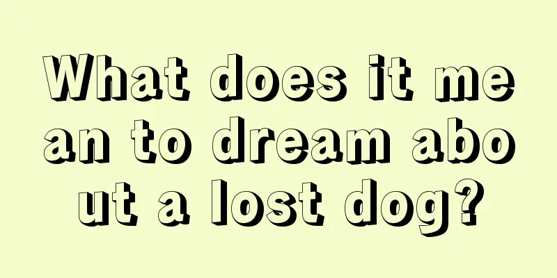 What does it mean to dream about a lost dog?