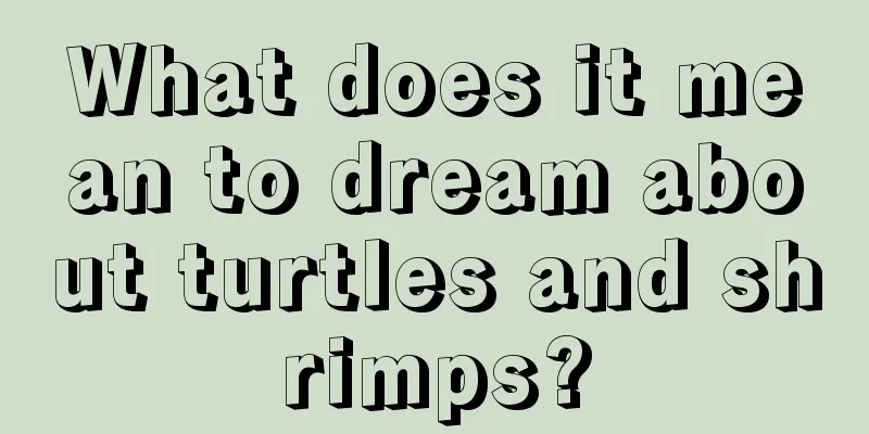 What does it mean to dream about turtles and shrimps?