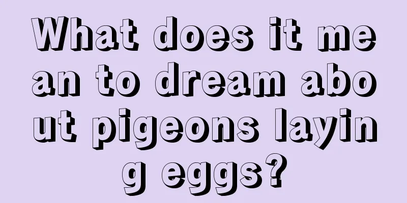 What does it mean to dream about pigeons laying eggs?