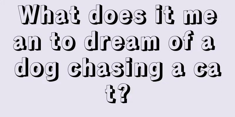 What does it mean to dream of a dog chasing a cat?