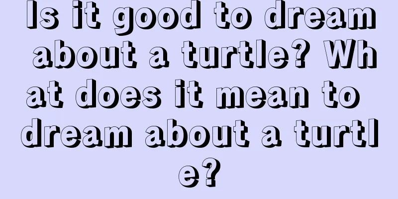 Is it good to dream about a turtle? What does it mean to dream about a turtle?