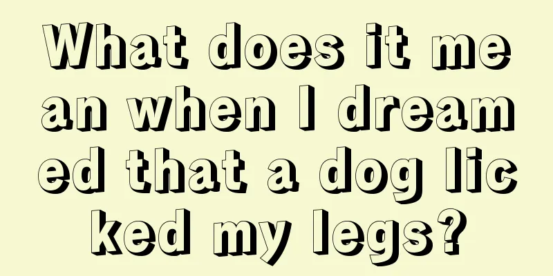 What does it mean when I dreamed that a dog licked my legs?