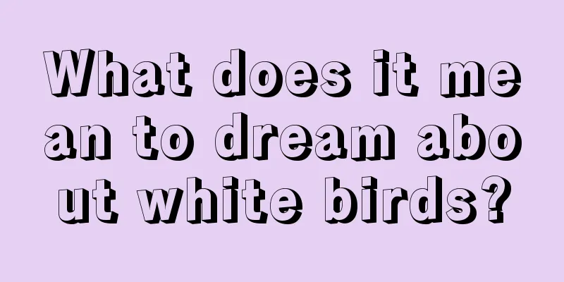 What does it mean to dream about white birds?