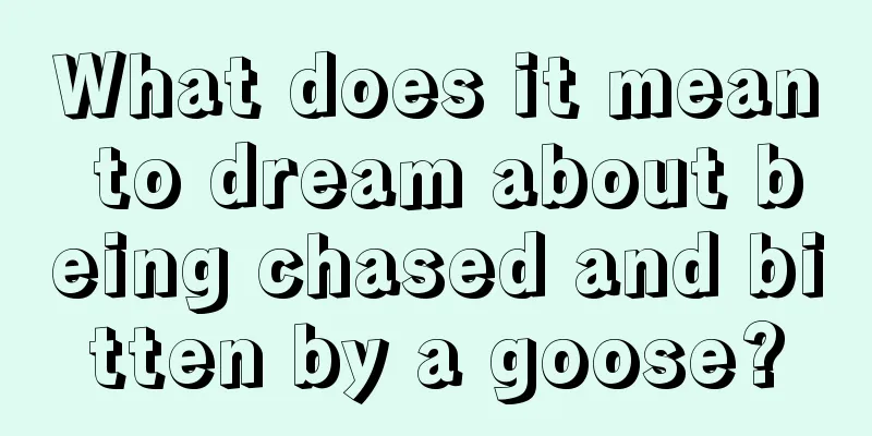 What does it mean to dream about being chased and bitten by a goose?