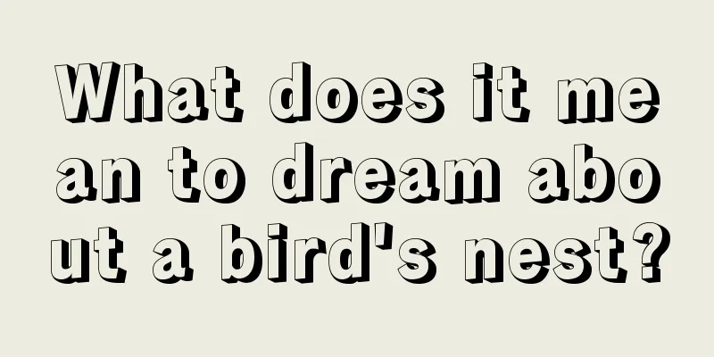 What does it mean to dream about a bird's nest?