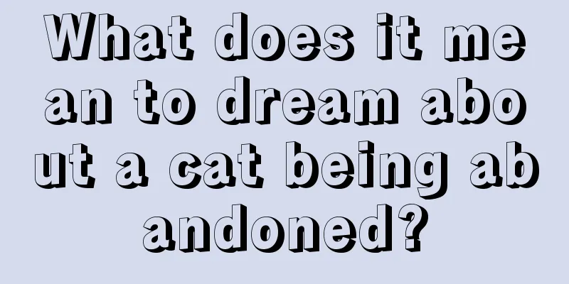 What does it mean to dream about a cat being abandoned?