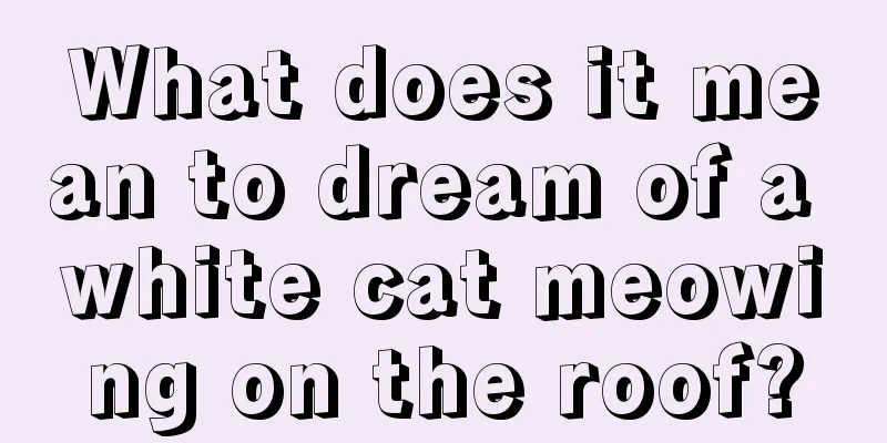 What does it mean to dream of a white cat meowing on the roof?