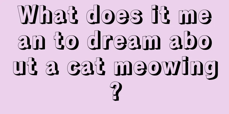 What does it mean to dream about a cat meowing?