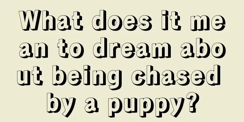 What does it mean to dream about being chased by a puppy?