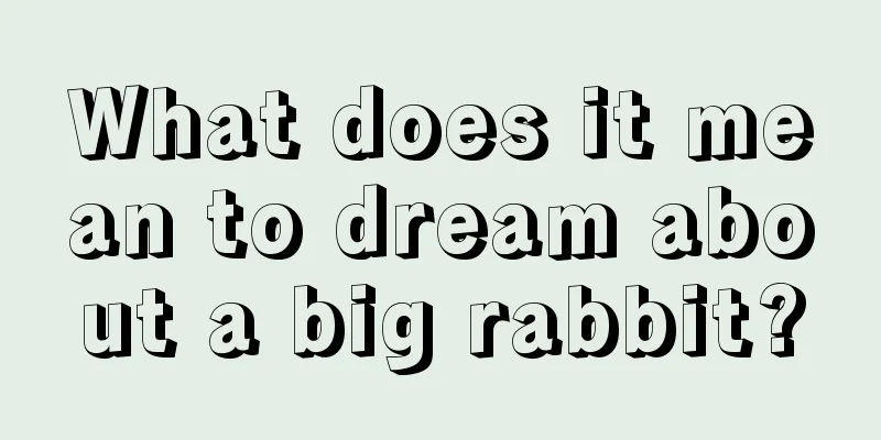 What does it mean to dream about a big rabbit?