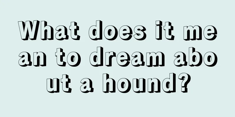 What does it mean to dream about a hound?