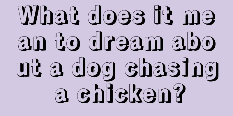 What does it mean to dream about a dog chasing a chicken?