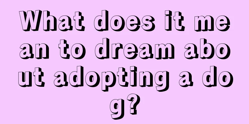 What does it mean to dream about adopting a dog?