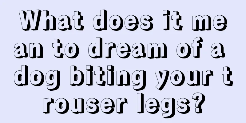 What does it mean to dream of a dog biting your trouser legs?