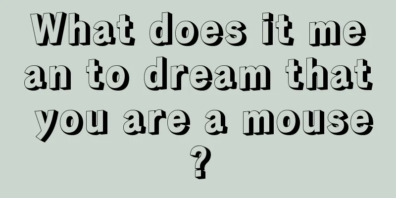 What does it mean to dream that you are a mouse?