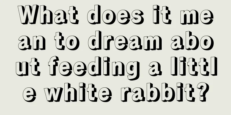 What does it mean to dream about feeding a little white rabbit?