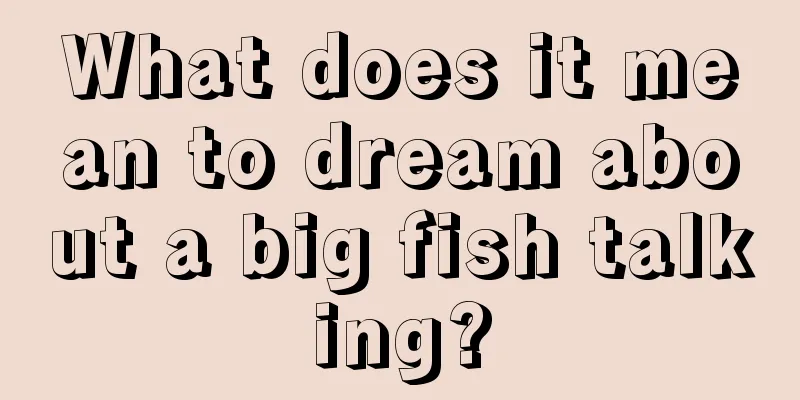 What does it mean to dream about a big fish talking?