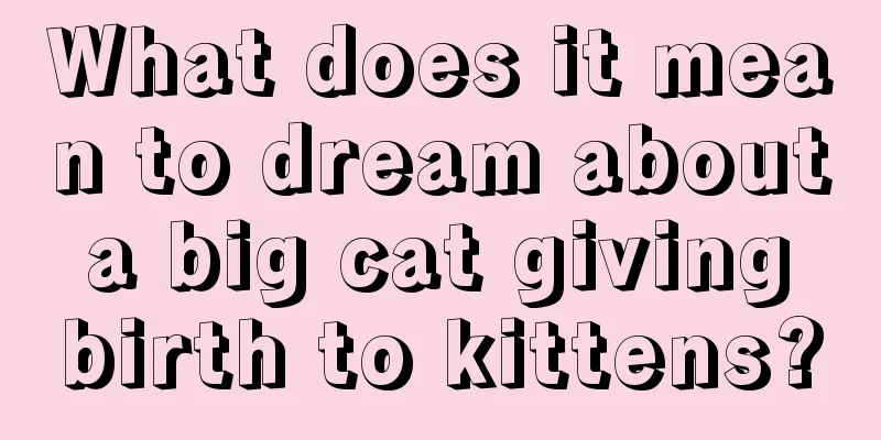 What does it mean to dream about a big cat giving birth to kittens?