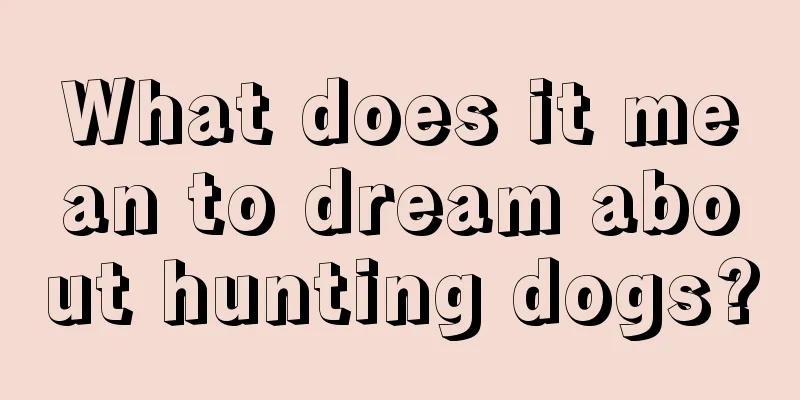 What does it mean to dream about hunting dogs?